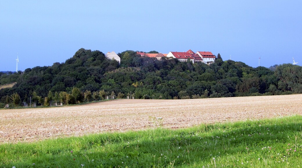 Blick auf die Konradsburg von Friedrichshohenberg aus