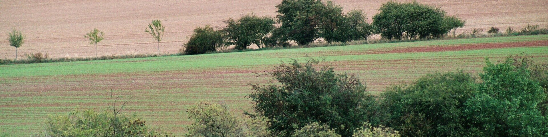This is a photograph of an architectural monument. It is on the list of cultural monuments of Endorf (Falkenstein/Harz), no. 094 95087