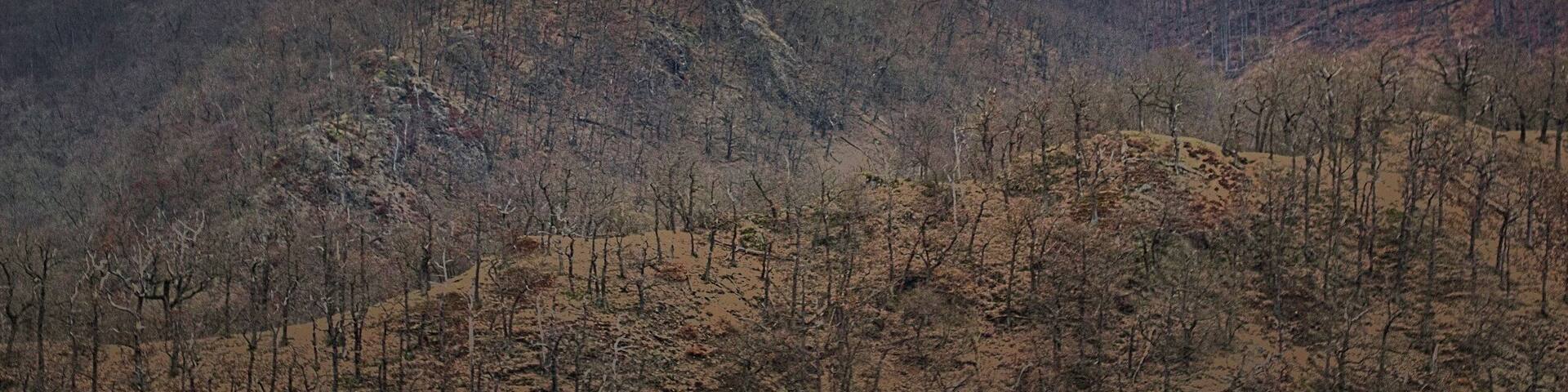 Burg Falkenstein is an ancient castle at Falkenstein/Harz. The picture is taken from viewpoint Selkesicht at Ackeburg - part of the "Harzer Wandernadel"-hiking adventure.