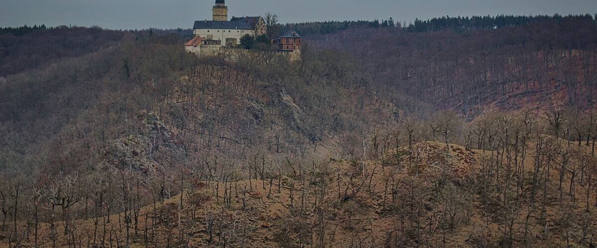 A historic building on a hill with a forested background.