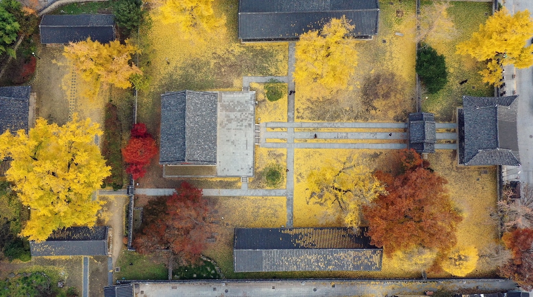 Jeonju Hyanggyo Autumn Scenery in Jeonju Hanok Village, Jeonnju-si, South Korea, taken with a drone