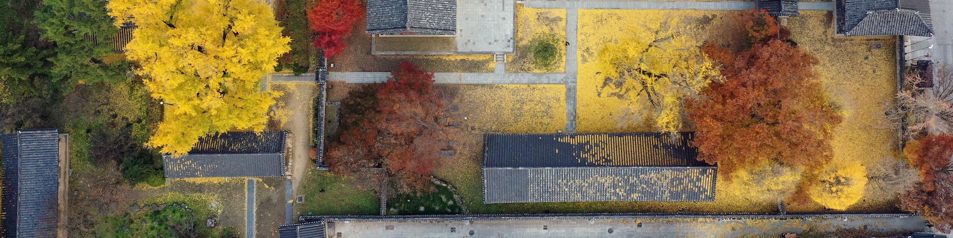 Jeonju Hyanggyo Autumn Scenery in Jeonju Hanok Village, Jeonnju-si, South Korea, taken with a drone
