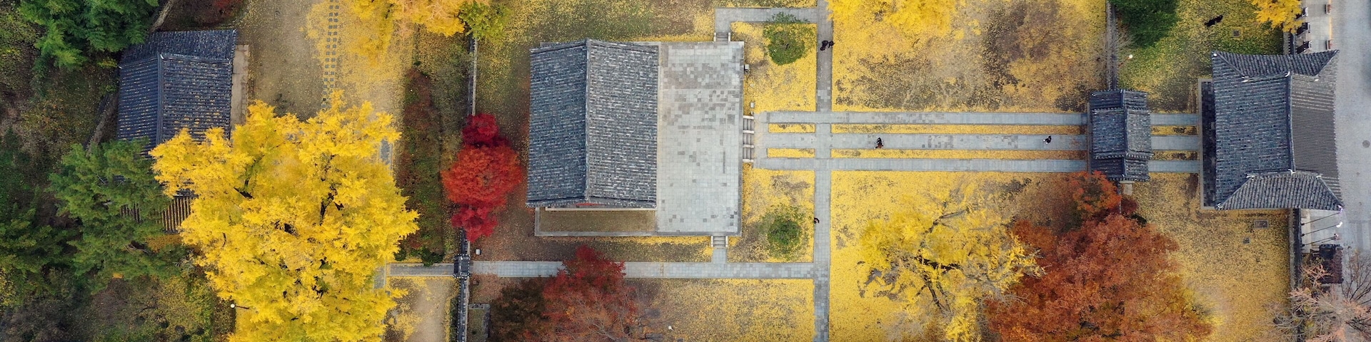 Jeonju Hyanggyo Autumn Scenery in Jeonju Hanok Village, Jeonnju-si, South Korea, taken with a drone