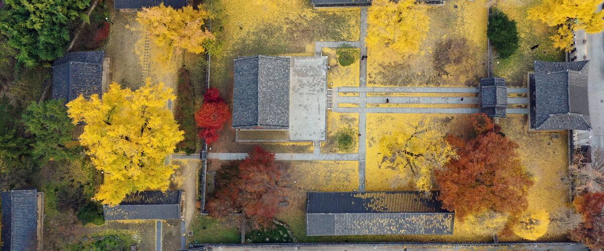 An aerial view of a residential area with houses, trees in autumn colors, and a central pathway.