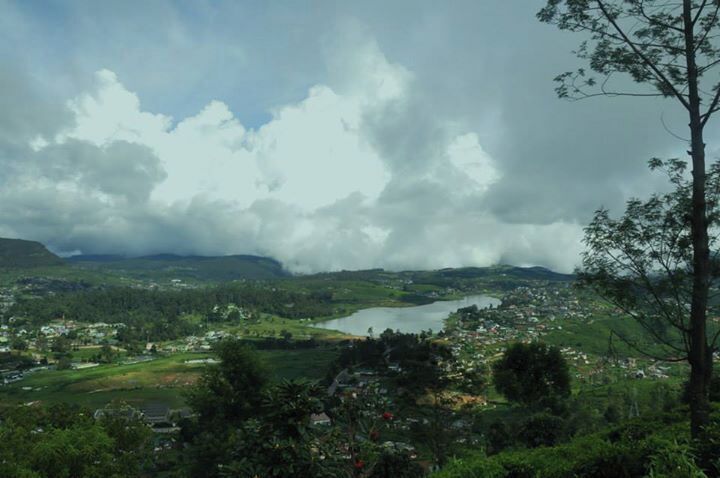 The breathtaking view from Single Tree Hill.

