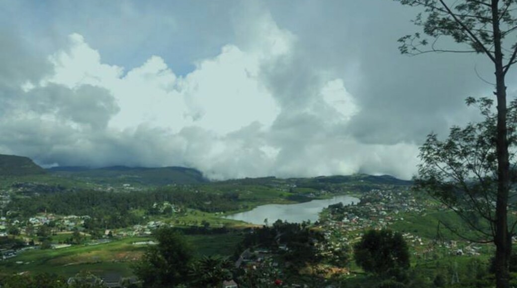 The breathtaking view from Single Tree Hill.