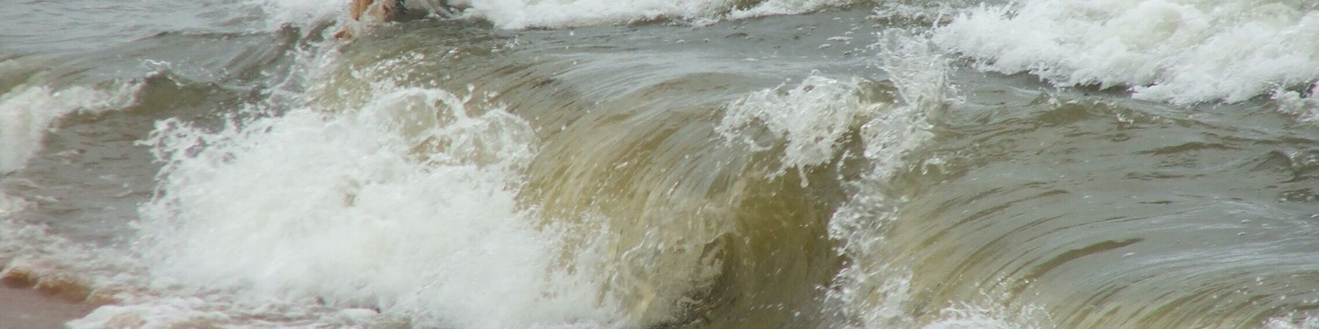 Fishing off the beach at waikkal