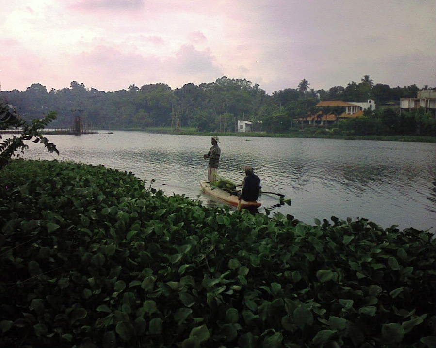 Fishermen at Bolgoda river, Moratuwa, Sri Lanka.