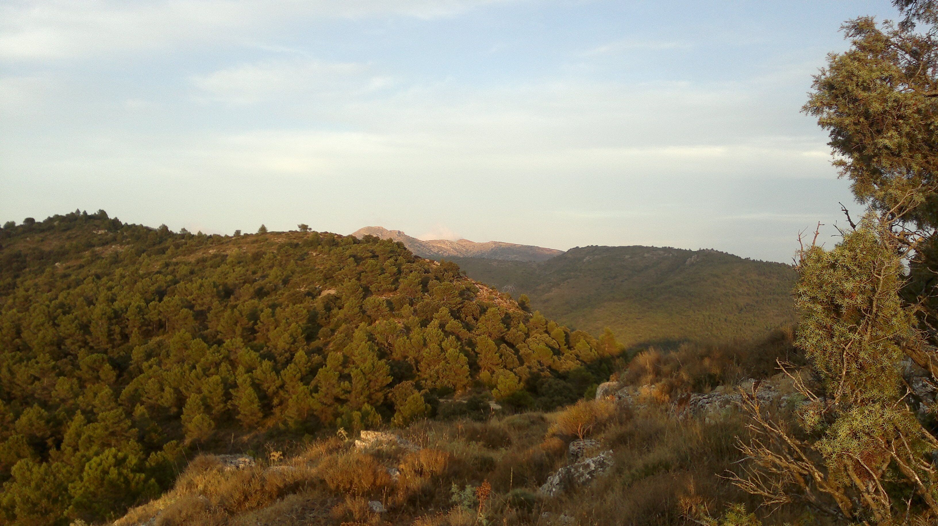 Montcabrer desde el Cabeçó de Mariola (Bolumini)