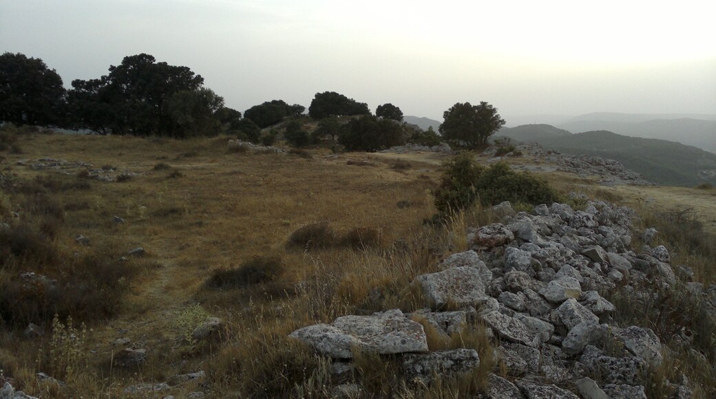 Poblado Ibero Bolumini