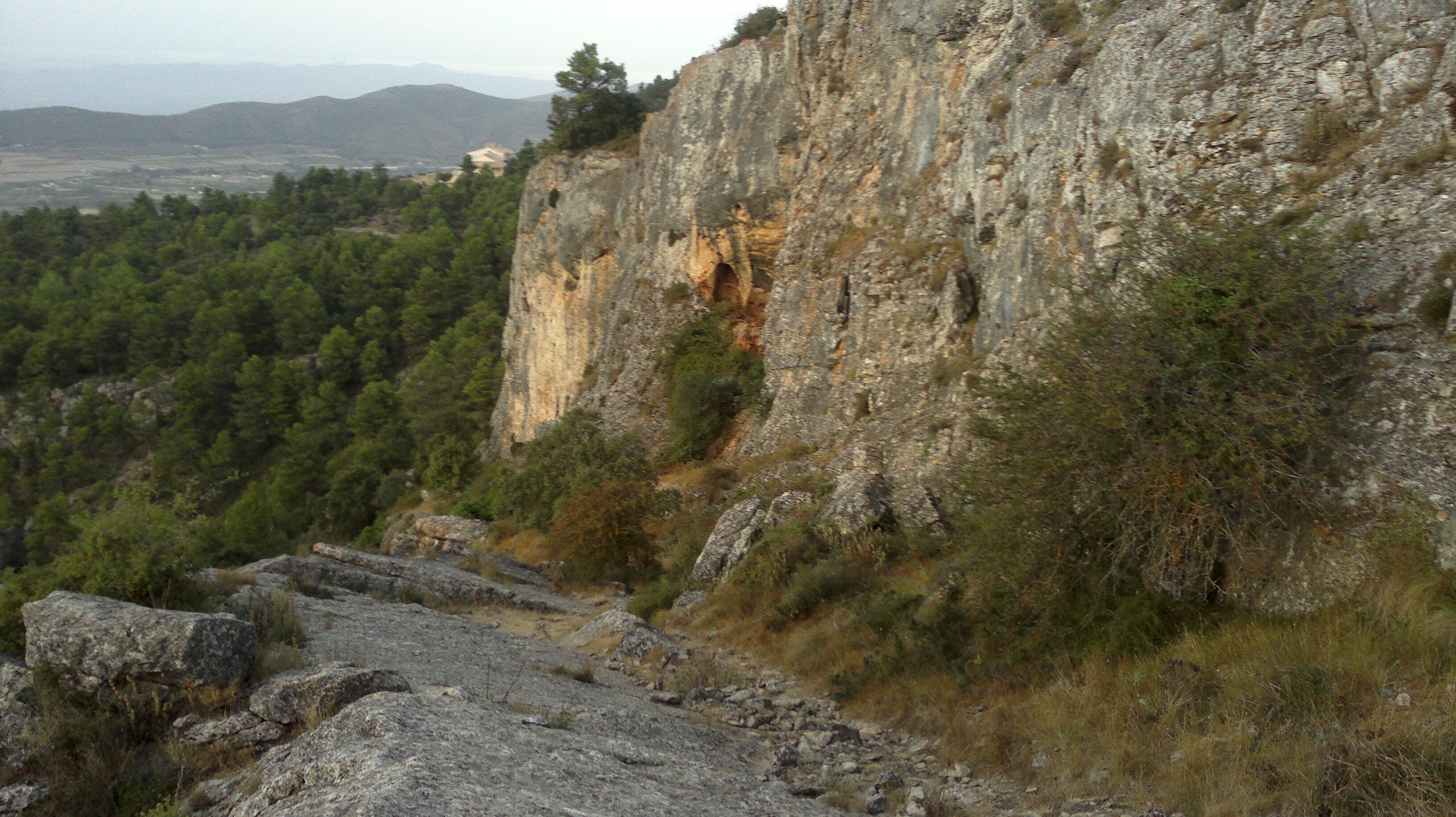 A rocky cliff with a forested valley below.
