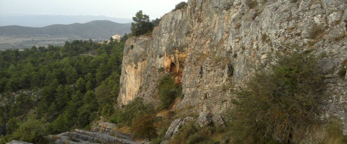 A rocky cliff with a forested valley below.