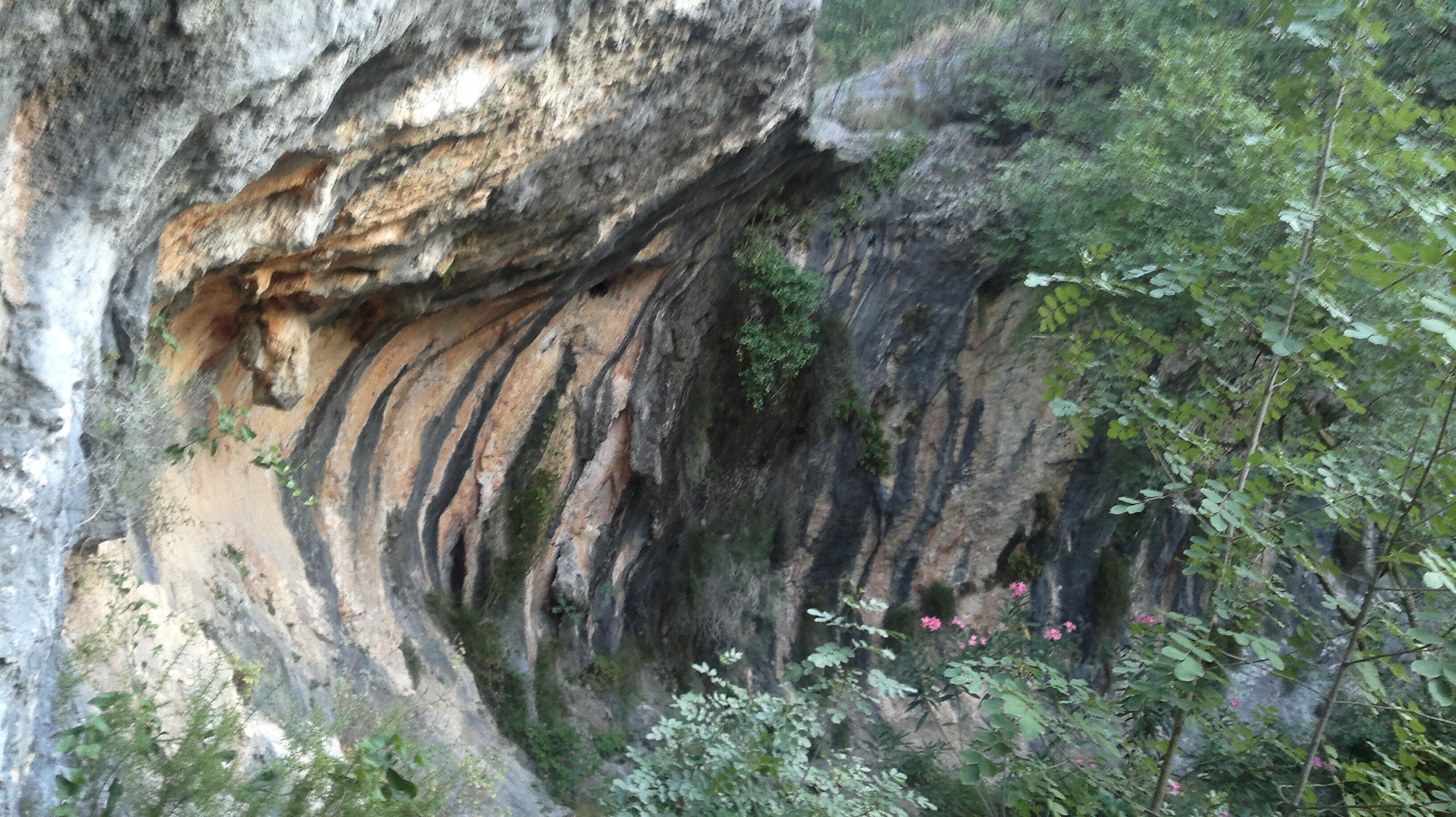 Balma Del Racó de la Font