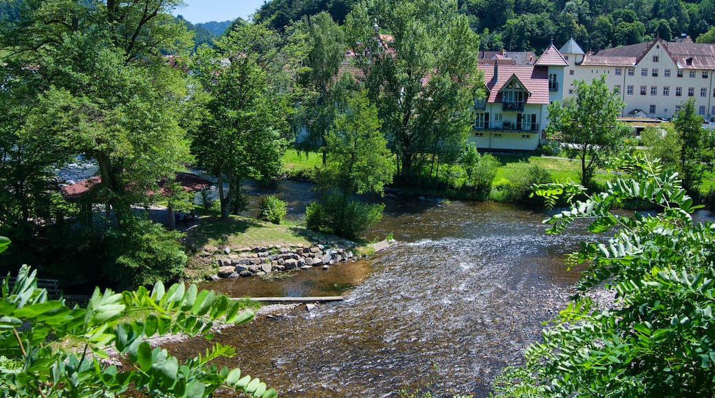 Die Kinzig bei Oberwolfach