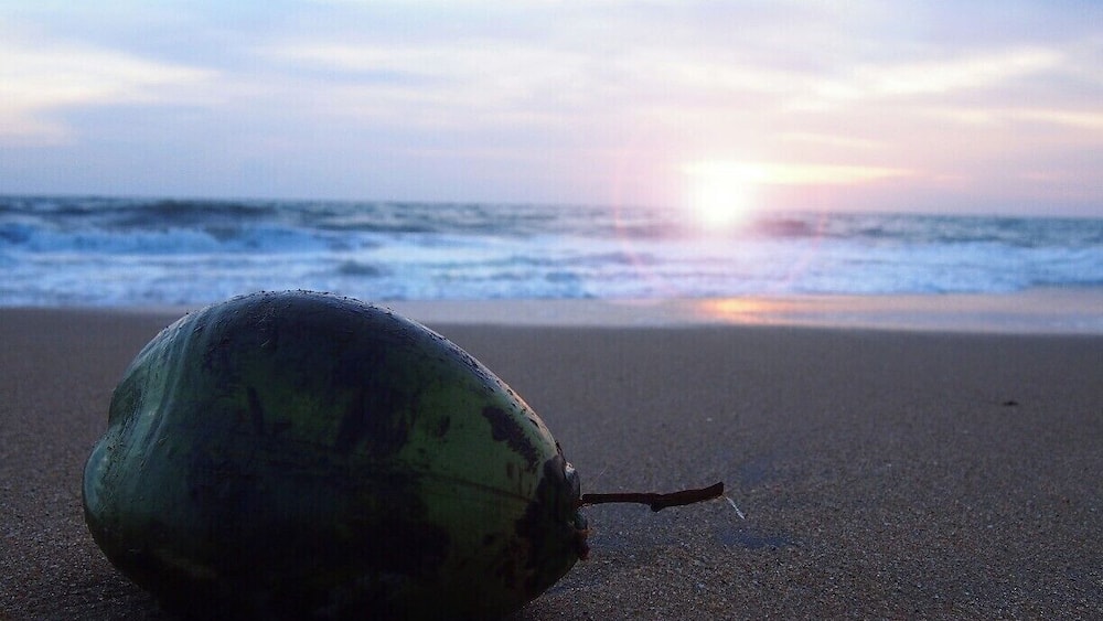 Coconut is the major crop cultivated in Sri Lanka and it is commonly found all over the island, except in hill country. However, the soil in coastal region of Sri Lanka suits well for coconut cultivation than anywhere else.
This was taken at the Nilaveli beach in Trincomalee. Nilaveli is a great place for spend your evening and have a bath in the sea as it is shallow and clear.