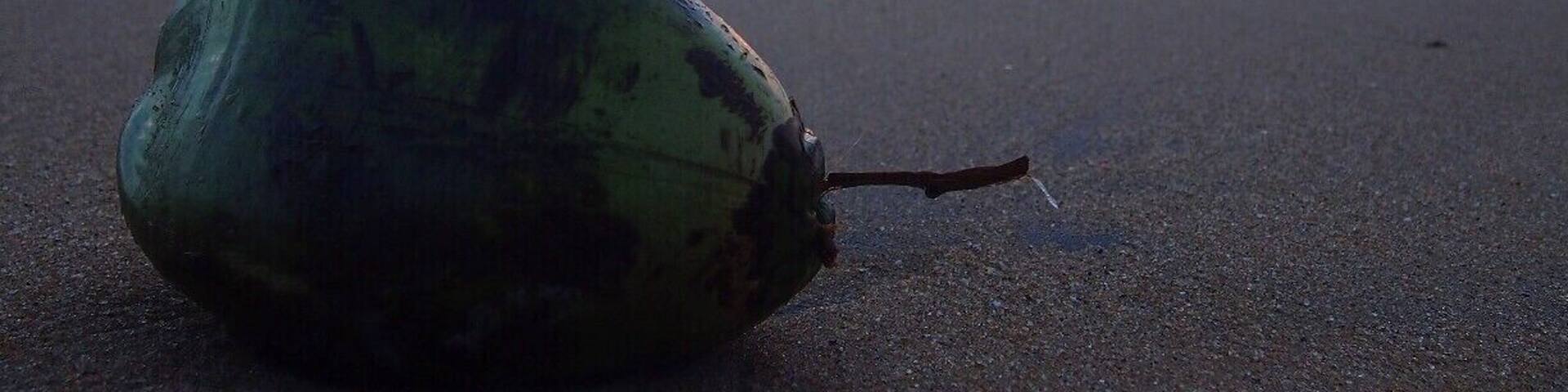 Coconut is the major crop cultivated in Sri Lanka and it is commonly found all over the island, except in hill country. However, the soil in coastal region of Sri Lanka suits well for coconut cultivation than anywhere else.
This was taken at the Nilaveli beach in Trincomalee. Nilaveli is a great place for spend your evening and have a bath in the sea as it is shallow and clear.