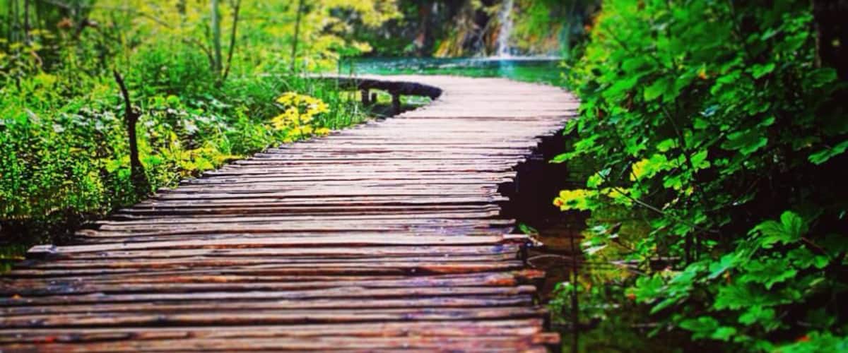 Do not follow where the path may lead...instead, go where there is no path and leave a trail -Ralph Waldo Emerson #plitvice #croatia #nationalpark