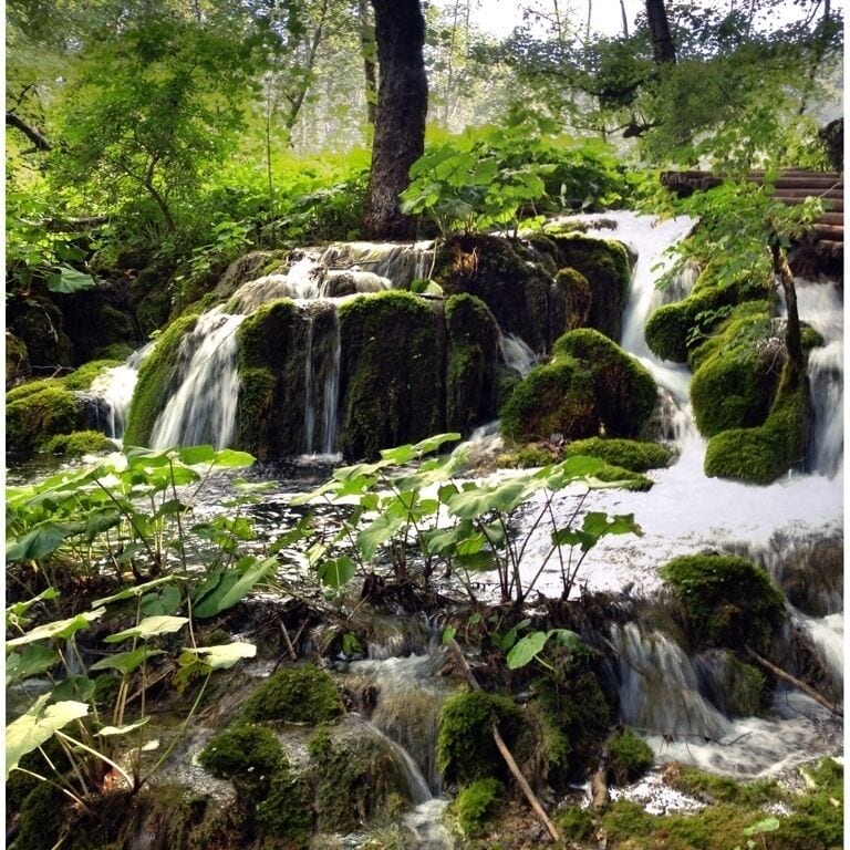 A moss-covered waterfall in a forested area with lush greenery and rocks.