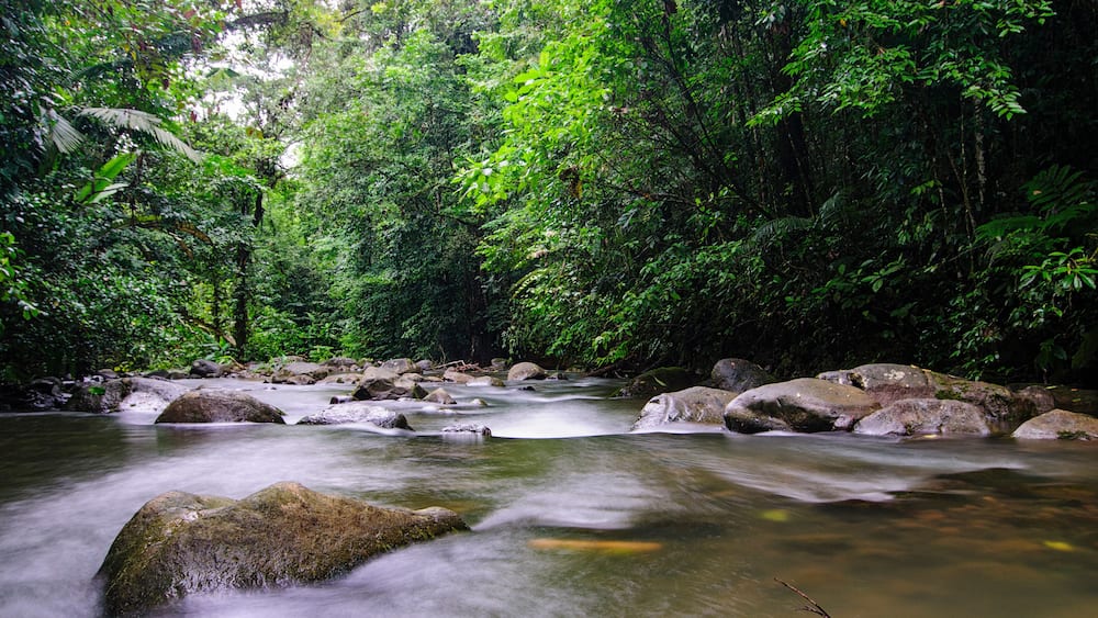 Chachagua River Costa Rica