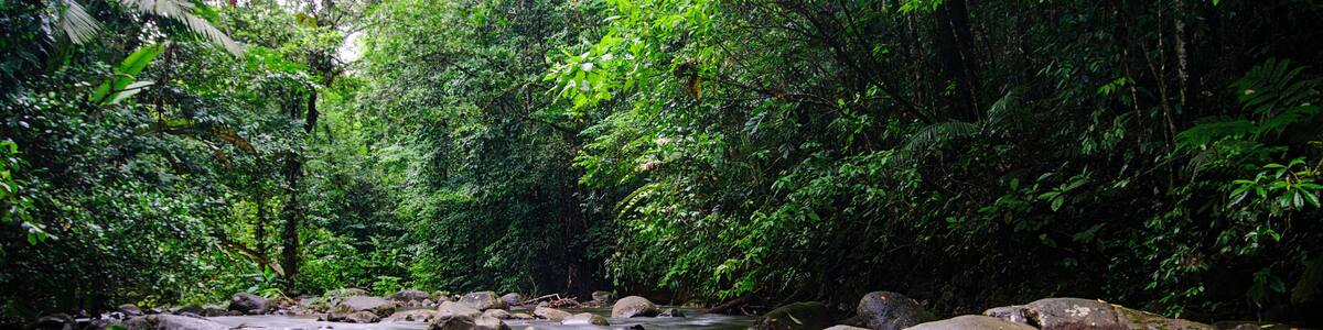 Chachagua River Costa Rica