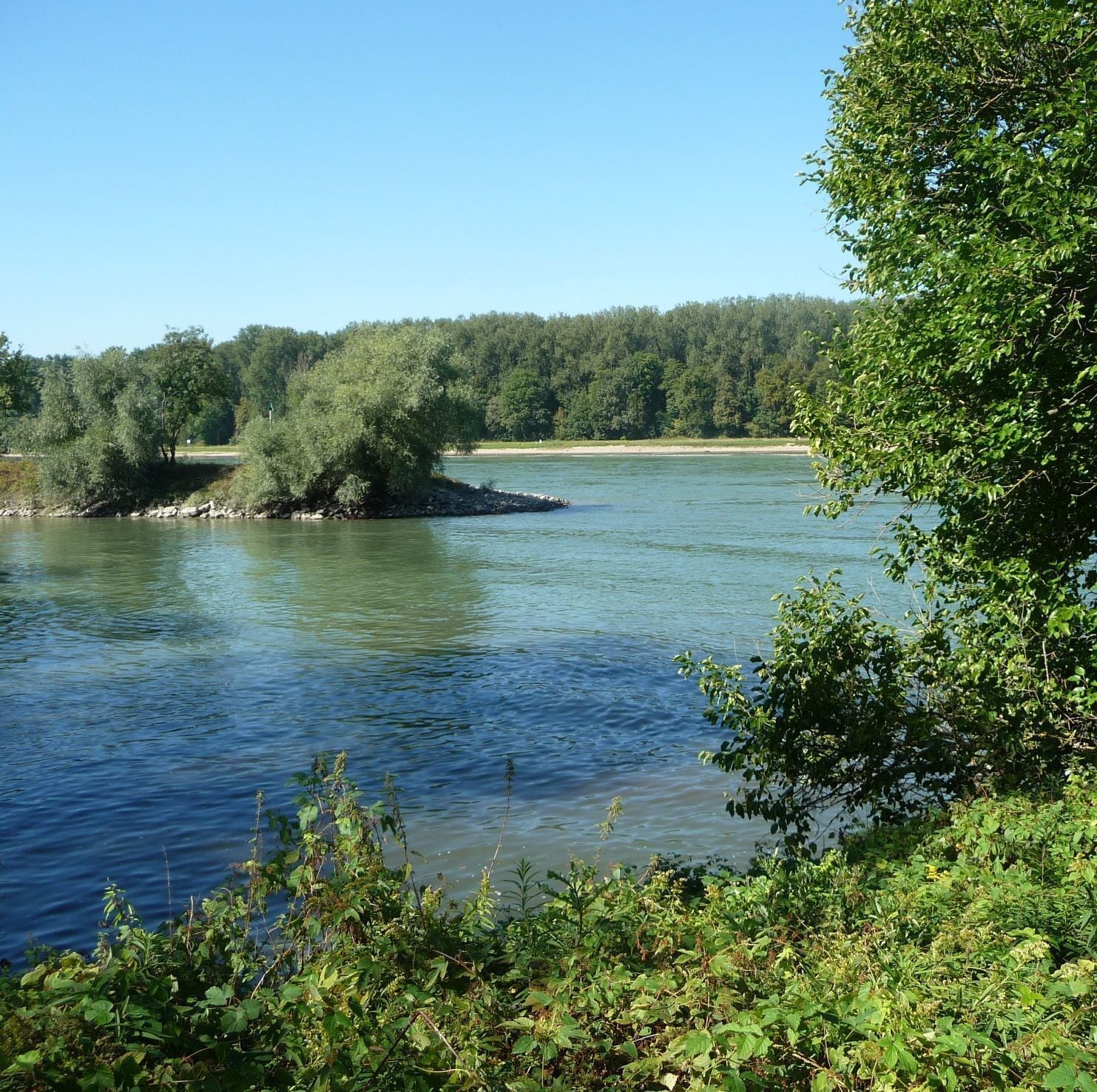 Einfahrt zum Hafen von Altlußheim