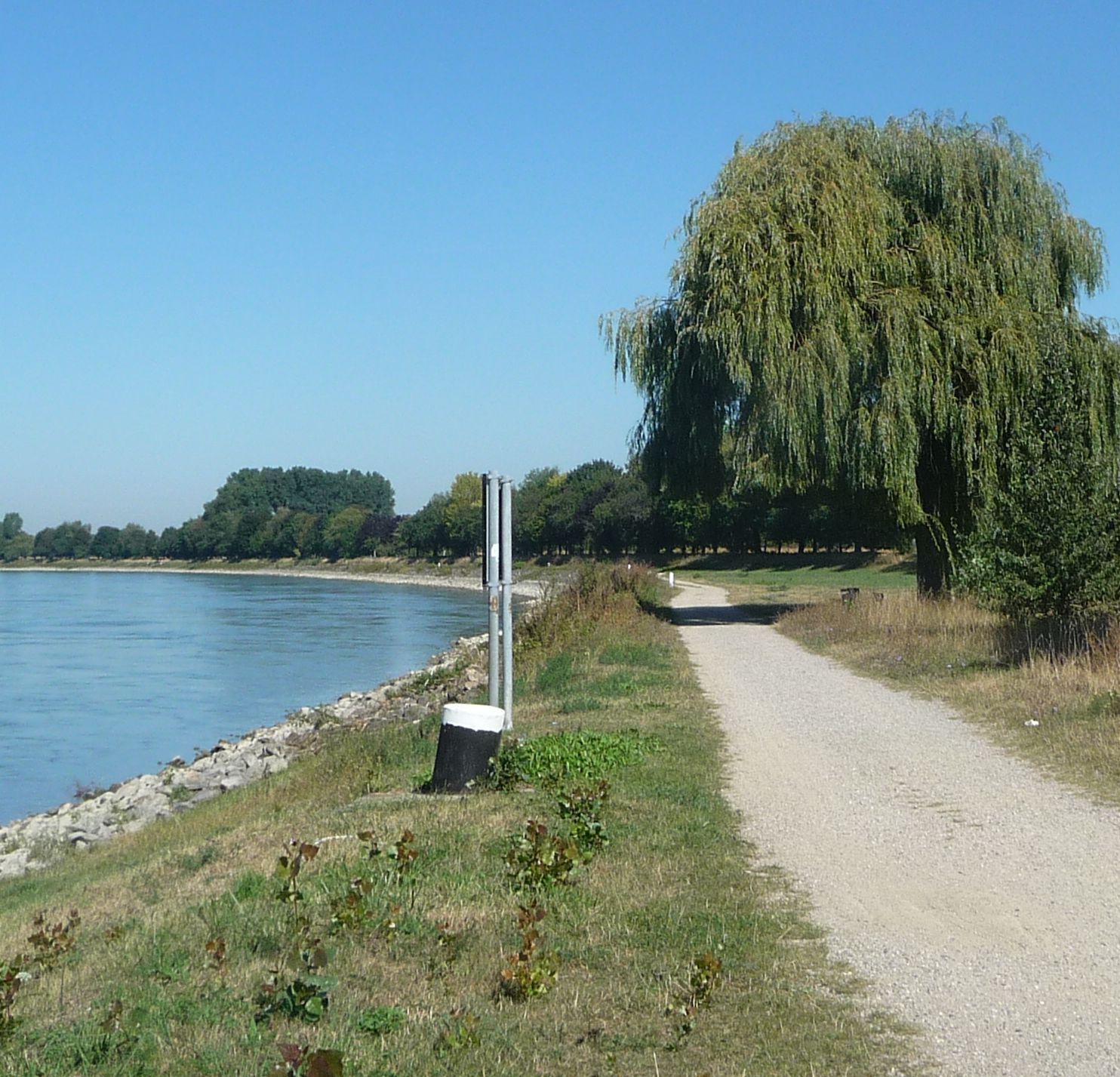 Rheinufer bei Altlußheim