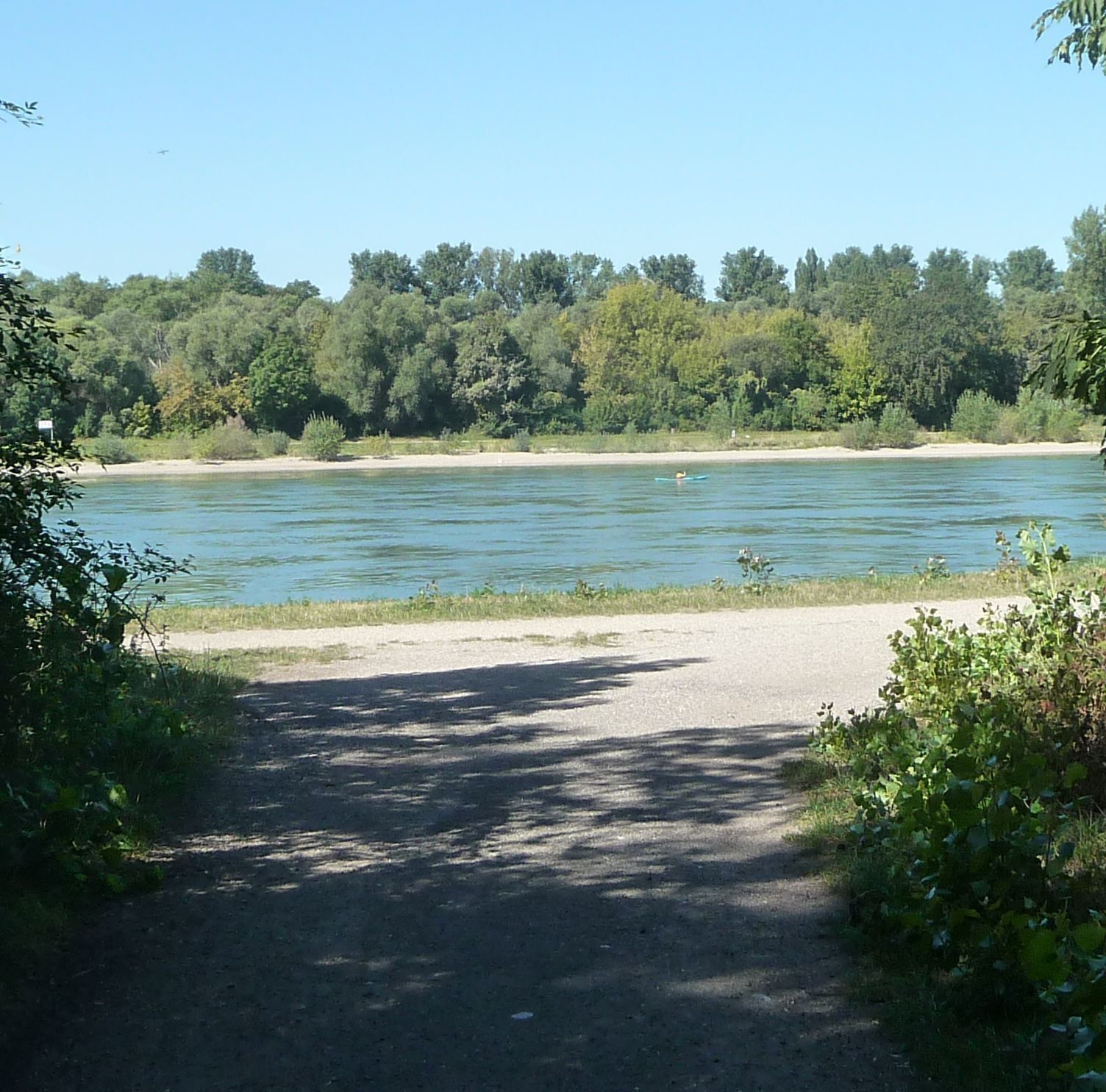 Weg zum Rheinufer bei Altlußheim