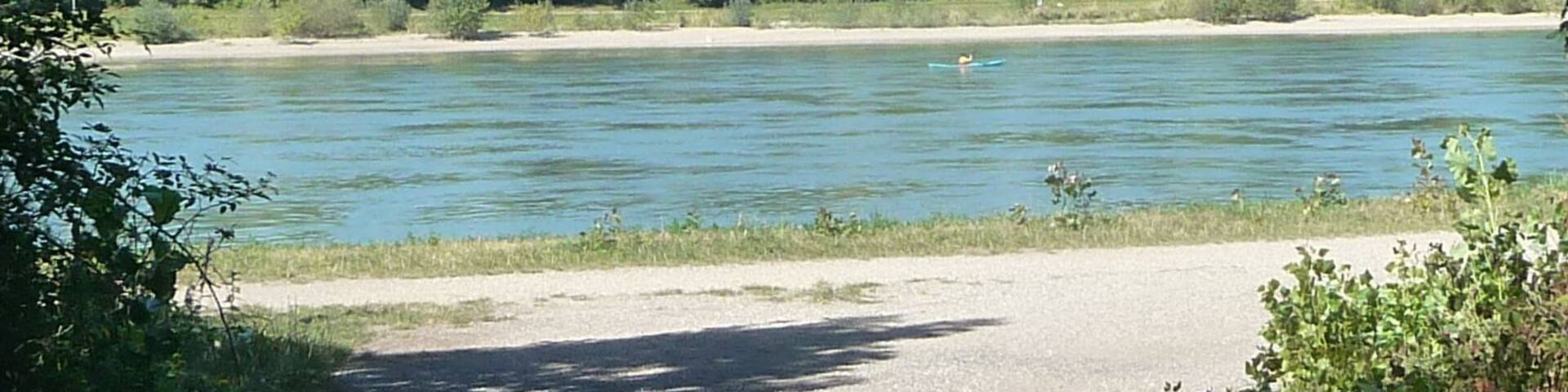 Weg zum Rheinufer bei Altlußheim