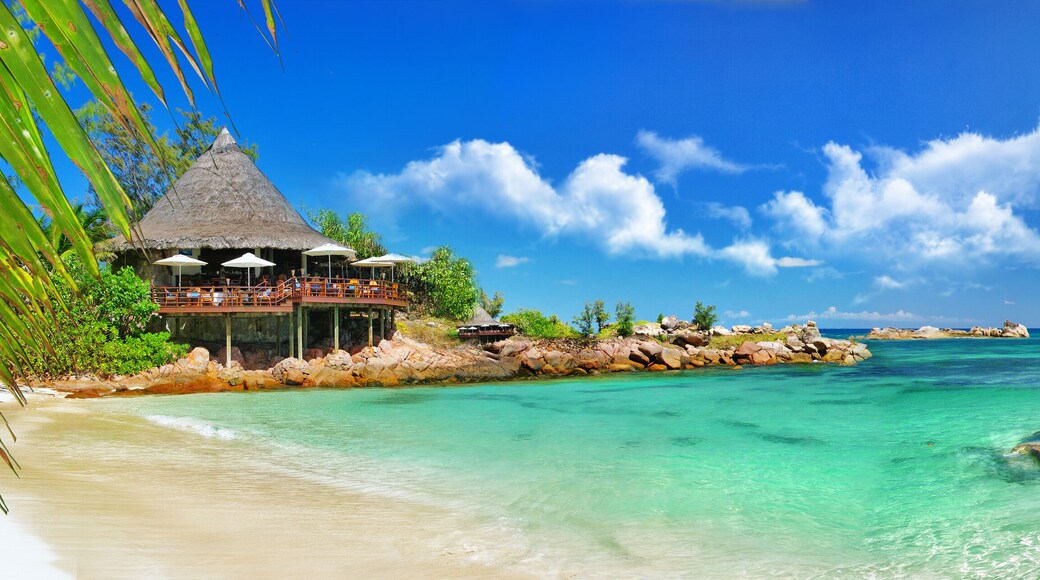 ๋ง๋ํ๋ฃจ ์ฌ