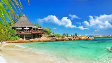 holidays in tropical paradise. Seychelles islands