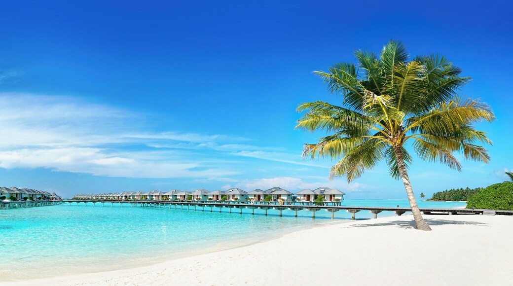 ๋ง๋ํ๋ฃจ ์ฌ