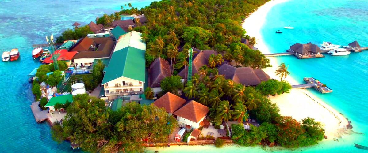An island with a central building surrounded by palm trees and a beach.