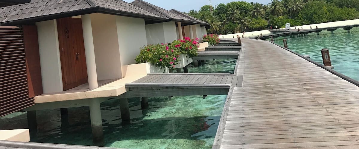 Overwater bungalows with clear blue water, wooden walkways, and lush greenery.