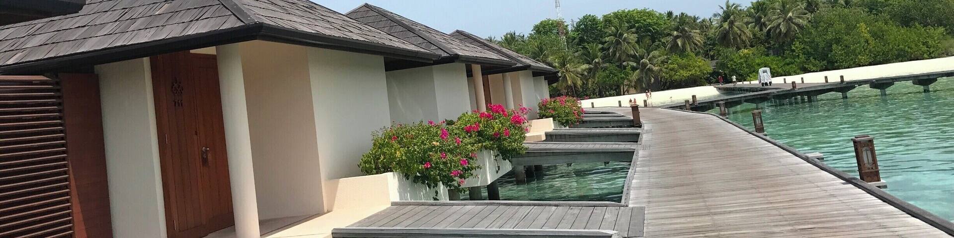 Overwater bungalows with clear blue water, wooden walkways, and lush greenery.