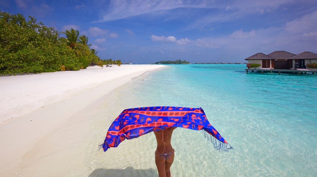 Lankanfinolhu