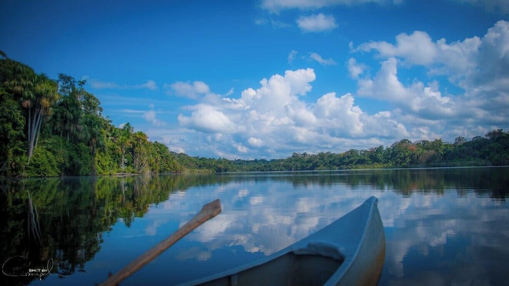 Cocococha lake deep in the Tambopata National Park. It forms an important habitat for many of the endangered and emblematic species such as macaws, black caimans and giant river otters that can feed and reproduce in peace here.
#nationalpark #tambopata #peru #amazon #troveon