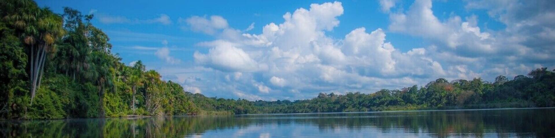 Cocococha lake deep in the Tambopata National Park. It forms an important habitat for many of the endangered and emblematic species such as macaws, black caimans and giant river otters that can feed and reproduce in peace here.
#nationalpark #tambopata #peru #amazon #troveon