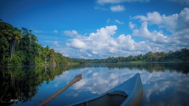 Un lago tranquilo con reflejos de árboles y un cielo despejado.
