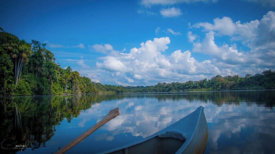 Cocococha lake deep in the Tambopata National Park. It forms an important habitat for many of the endangered and emblematic species such as macaws, black caimans and giant river otters that can feed and reproduce in peace here.
#nationalpark #tambopata #peru #amazon #troveon