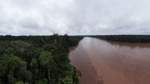 Tambopata