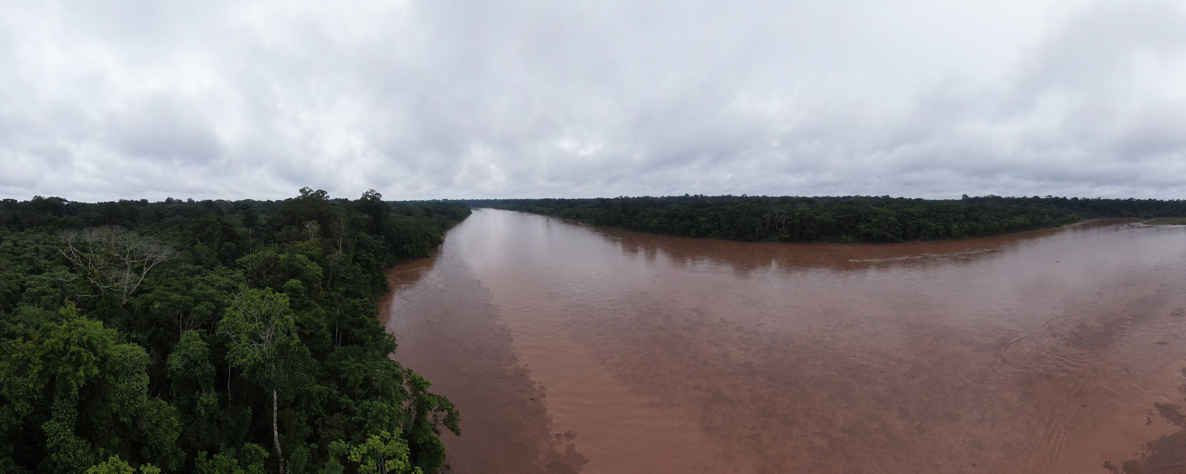 A river winding through a dense forest under a cloudy sky.