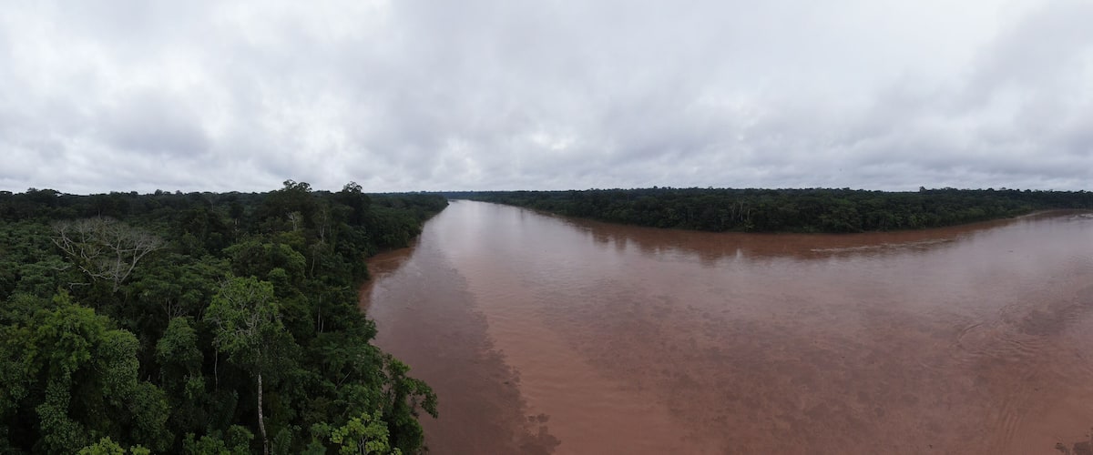 A river winding through a dense forest under a cloudy sky.