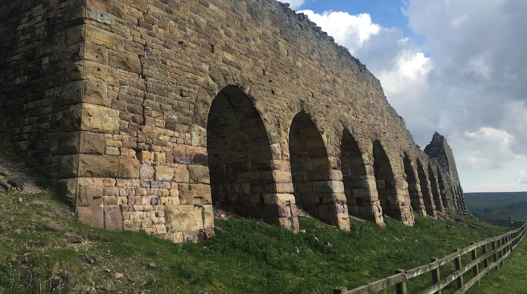 Ironstone kilns in north York moors
#lifeatexpedia