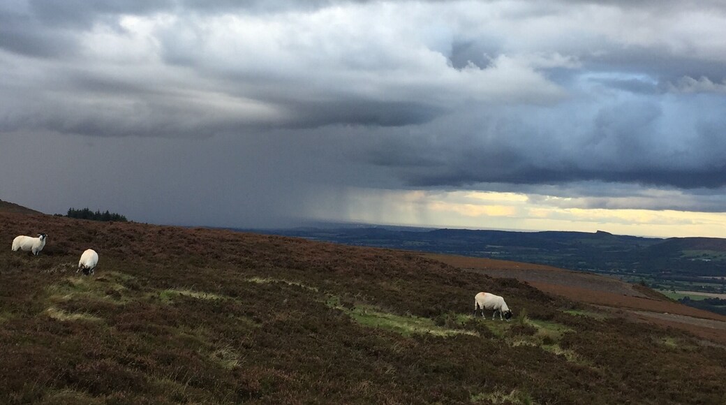Top of clay bank. Clouds bursting with rain. Yes we got soaked.