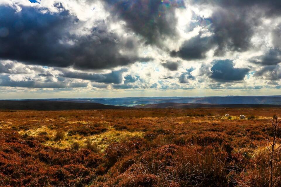 A vast open landscape with rolling hills and a cloudy sky.