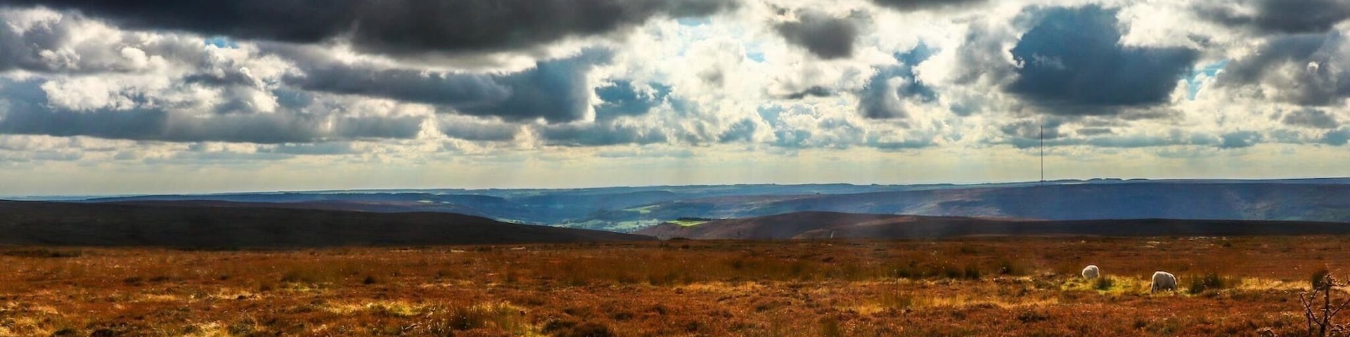 Bleak but beautiful moorland approaching the lion inn at Blakey