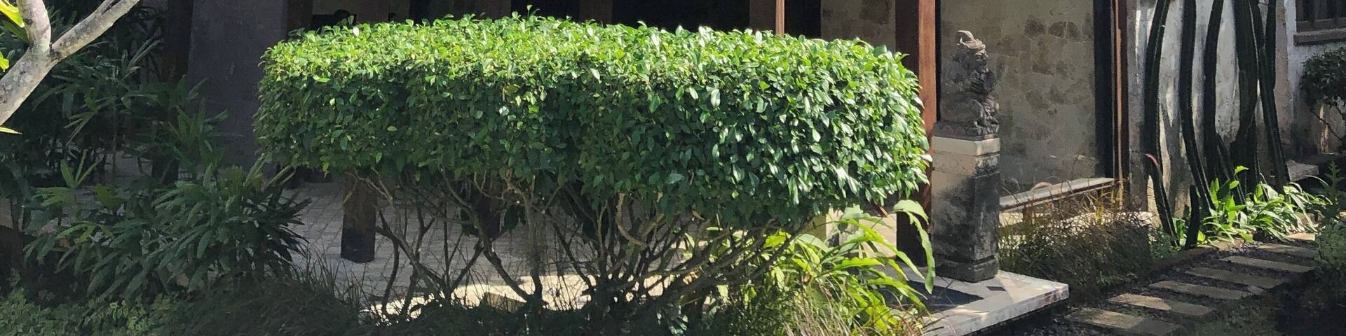 Our accommodation in Bali ; nice one bedroom villa at inexpensive price. A good place to stay to explore Bali