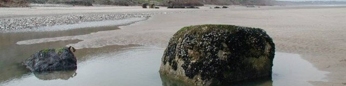 Middle Cliff Beach, Speeton Sands Heavily eroded anti-tank blocks on the beach north of Speeton, looking west-northwest towards New Closes Cliff and Reighton Gap.