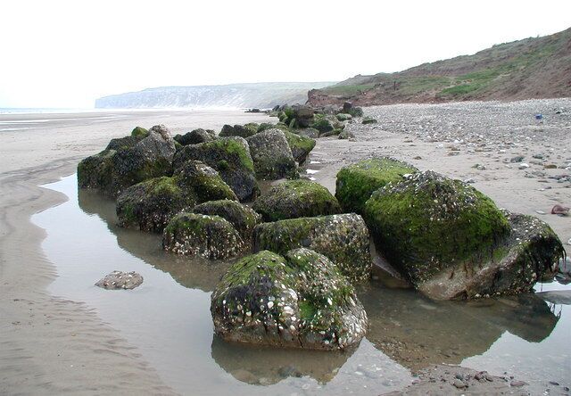 Reighton Gap Heavily eroded World War II concrete defences on the beach at Reighton Gap, looking east-southeast towards Speeton Cliffs.