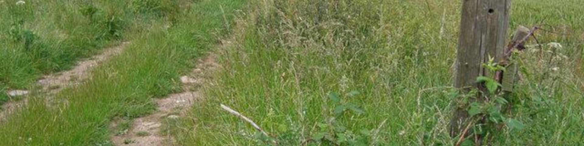 Track West of Speeton. The track heads north on Speeton Hills. This view looking north to the sea.